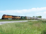 BNSF 4455